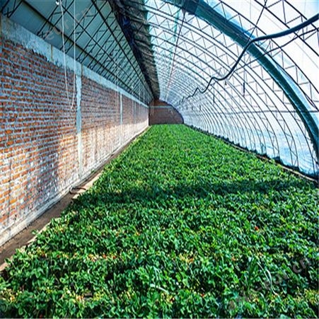 生态园林养殖大棚 温室骨架管材 寿命长新型通风恒温蔬菜温室